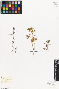 SW_BNB_s3010-08060_IMG-0000000001