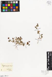 SW_BNB_s3010-08064_IMG-0000000001