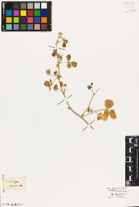 SW_BNB_s3010-08068_IMG-0000000001