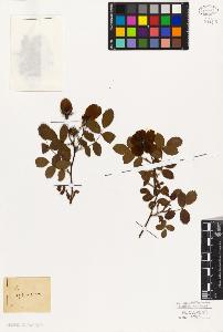 SW_BNB_s3010-08075_IMG-0000000001