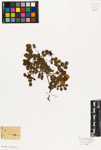 SW_BNB_s3010-08077_IMG-0000000001