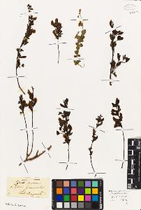 SW_BNB_s3010-08090_IMG-0000000001
