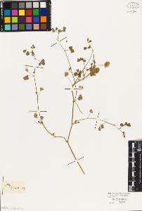 SW_BNB_s3010-08093_IMG-0000000001