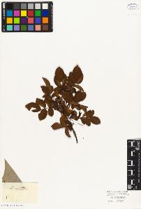 SW_BNB_s3010-08096_IMG-0000000001