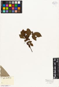 SW_BNB_s3010-08110_IMG-0000000001