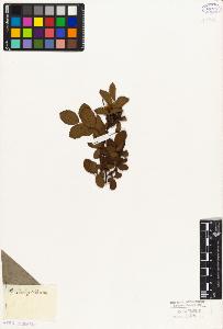SW_BNB_s3010-08112_IMG-0000000001