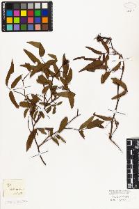 SW_BNB_s3010-08118_IMG-0000000001