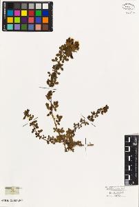 SW_BNB_s3010-08124_IMG-0000000001