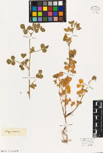 SW_BNB_s3010-08129_IMG-0000000001