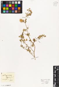 SW_BNB_s3010-08130_IMG-0000000001