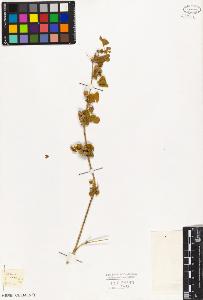 SW_BNB_s3010-08131_IMG-0000000001