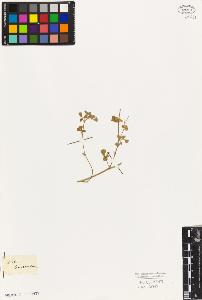 SW_BNB_s3010-08132_IMG-0000000001
