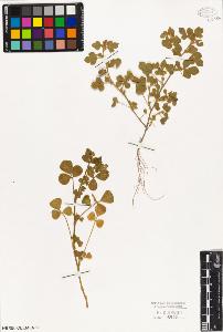SW_BNB_s3010-08139_IMG-0000000001
