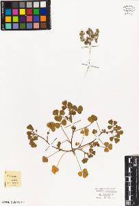 SW_BNB_s3010-08140_IMG-0000000001