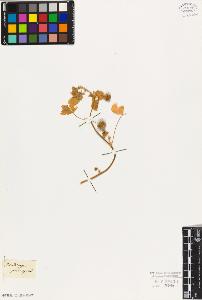 SW_BNB_s3010-08141_IMG-0000000001