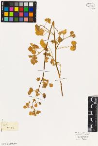 SW_BNB_s3010-08160_IMG-0000000001