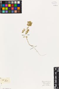 SW_BNB_s3010-08179_IMG-0000000001
