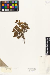 SW_BNB_s3010-08187_IMG-0000000001