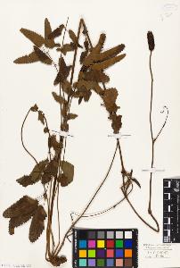 SW_BNB_s3010-08195_IMG-0000000001