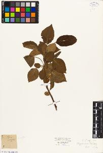 SW_BNB_s3010-08201_IMG-0000000001