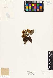 SW_BNB_s3010-08208_IMG-0000000001