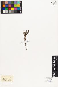 SW_BNB_s3010-08218_IMG-0000000001