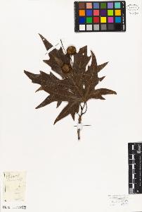 SW_BNB_s3010-08221_IMG-0000000001