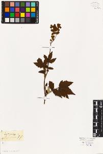 SW_BNB_s3010-08225_IMG-0000000001