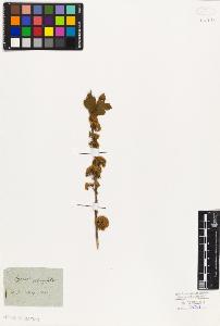 SW_BNB_s3010-08232_IMG-0000000001
