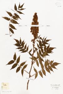 SW_BNB_s3010-08233_IMG-0000000001