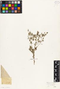 SW_BNB_s3010-08240_IMG-0000000001