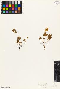 SW_BNB_s3010-08246_IMG-0000000001