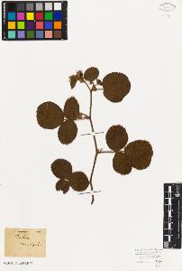 SW_BNB_s3010-08282_IMG-0000000001