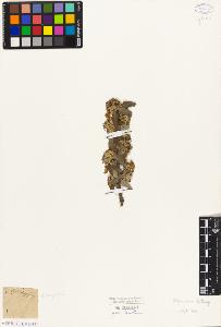 SW_BNB_s3010-08284_IMG-0000000001