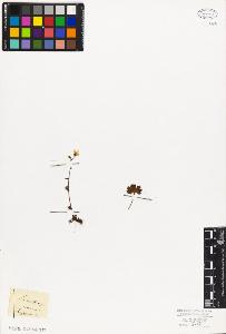 SW_BNB_s3010-08299_IMG-0000000001