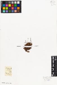 SW_BNB_s3010-08300_IMG-0000000001
