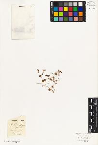 SW_BNB_s3010-08303_IMG-0000000001