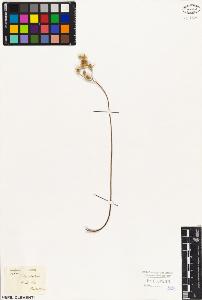 SW_BNB_s3010-08308_IMG-0000000001