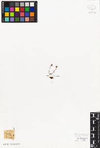 SW_BNB_s3010-08311_IMG-0000000001