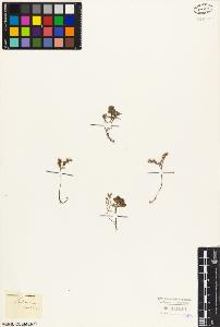 SW_BNB_s3010-08312_IMG-0000000001