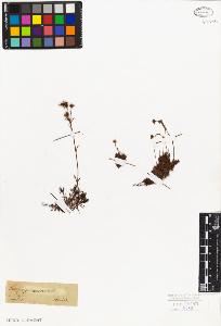 SW_BNB_s3010-08313_IMG-0000000001