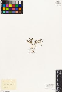 SW_BNB_s3010-08316_IMG-0000000001
