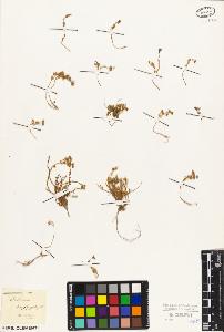 SW_BNB_s3010-08319_IMG-0000000001