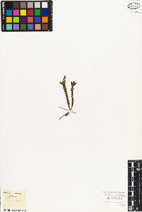 SW_BNB_s3010-08326_IMG-0000000001