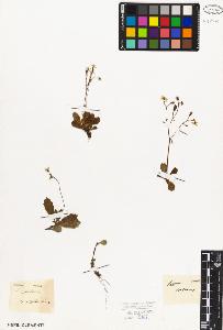 SW_BNB_s3010-08330_IMG-0000000001