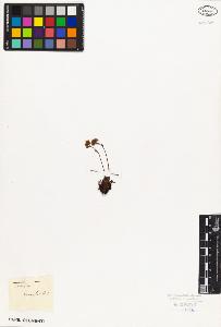 SW_BNB_s3010-08331_IMG-0000000001