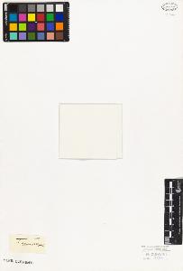 SW_BNB_s3010-08333_IMG-0000000001