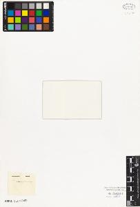 SW_BNB_s3010-08334_IMG-0000000001