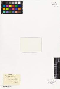 SW_BNB_s3010-08335_IMG-0000000001