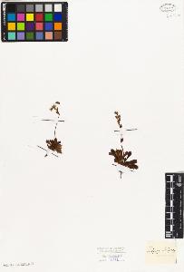 SW_BNB_s3010-08337_IMG-0000000001